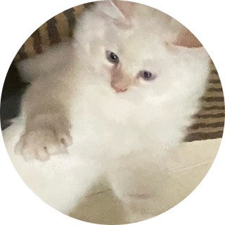 j m a