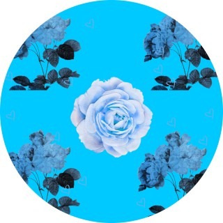 Dramacenteralgain avatar