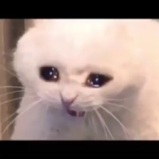 Ueetusdeletus avatar