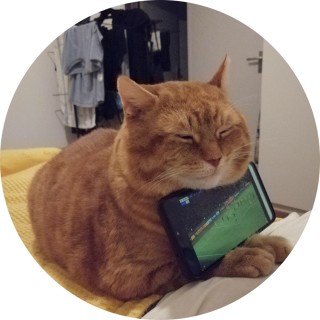 rocktothebone avatar