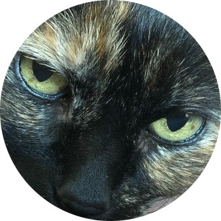 mr_extraboring avatar