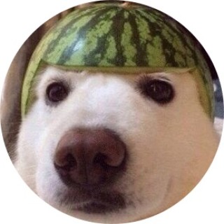 wotahmellon avatar