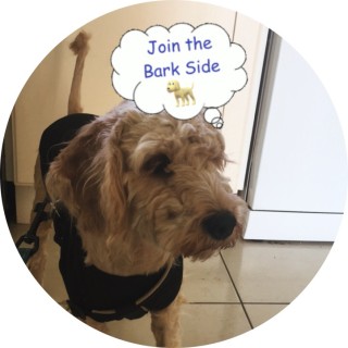 jamesthecat2007 avatar