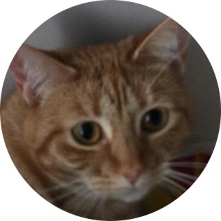 caydenmakememes avatar