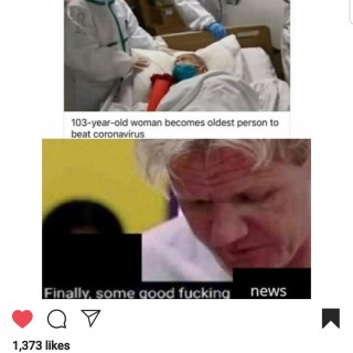 dankestmemes13859 avatar