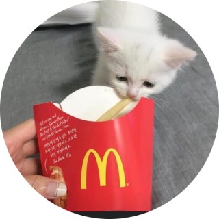 bigsasquatchhands avatar