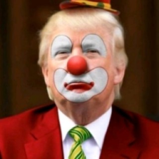 mcdondledtrump avatar