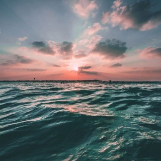 chloedonnelly avatar