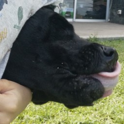 UsuarioRandom avatar