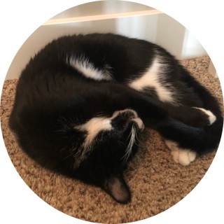 Immortal_Beast avatar