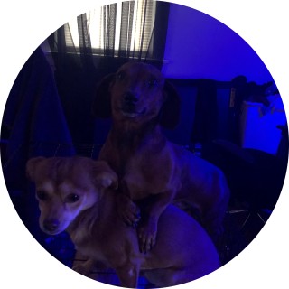 username_unknowed avatar