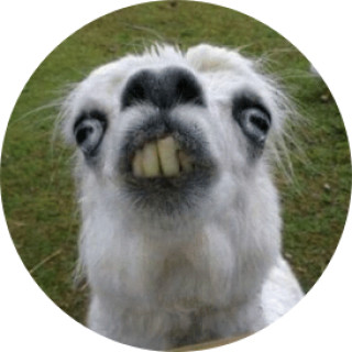 life_sucks_ok avatar