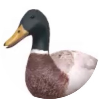 awesome_beeps avatar