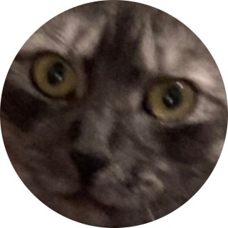 installedtoruinfaces avatar