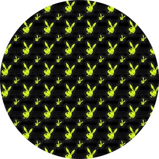 karina_gonz13 avatar