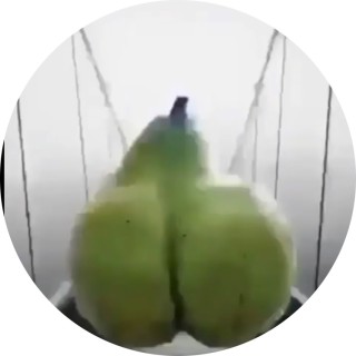 Straightupmemes avatar