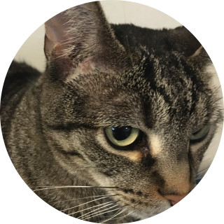 memztimewithkenna avatar