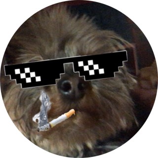 PrimeMemeInister avatar