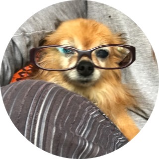 SlinkyMonkey21 avatar