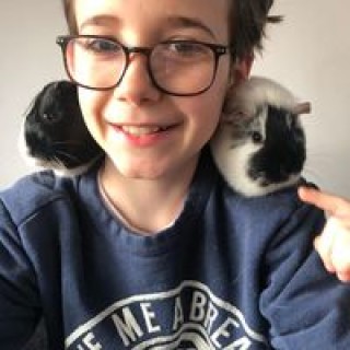 thijsbeijer17 avatar