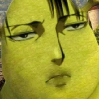 Levi_Shrekerman avatar