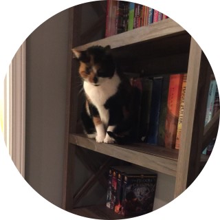 iamademigodandwitch avatar