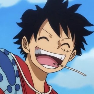 borderhopperkoopa avatar