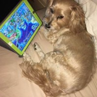 beverleyhyman avatar