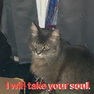 maddisonknott avatar