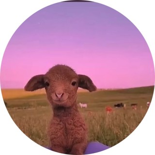 maksjskalkshdjdk avatar