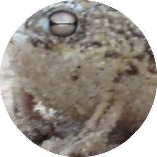 imleavingmyfuneral avatar