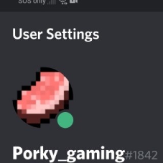 PORKY_GAMING avatar