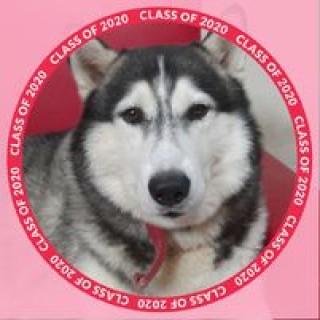 superatharvrai avatar