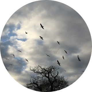 paicefamily_fatmemes avatar