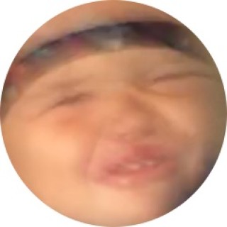 stellasmemesoffical avatar