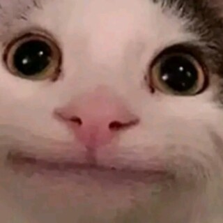 memesarehethy avatar