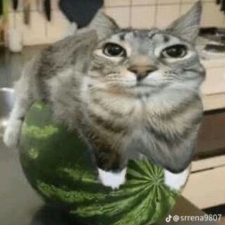 KFC_Deepfryer avatar