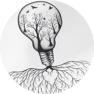 chicken_wings_for_life avatar