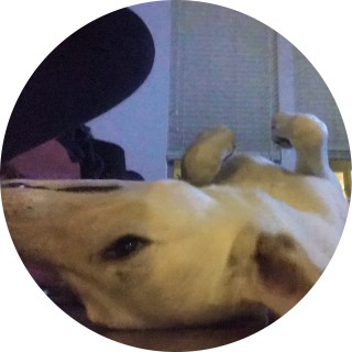 musical_trash avatar