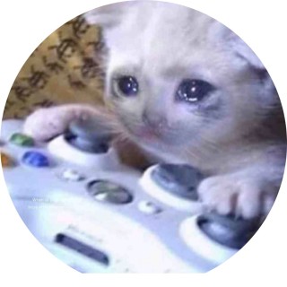 tracythorpe551328 avatar