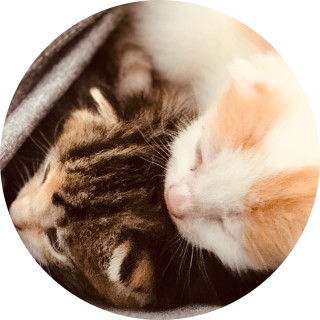 c1trusncinnamon avatar