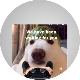 doggo_moggo avatar