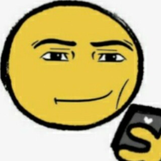 molly_holydog55 avatar