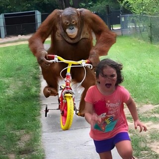 MasterMan0223 avatar