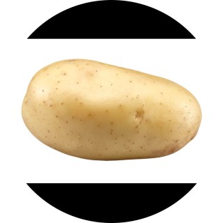 apotatodotcom avatar