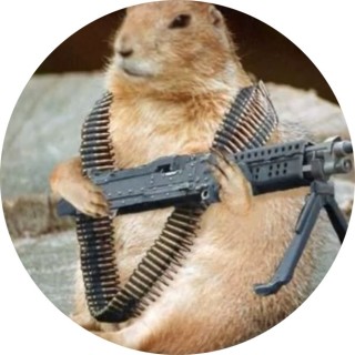 definetlynotnaty avatar