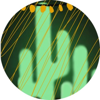 MorganTheMuffin avatar