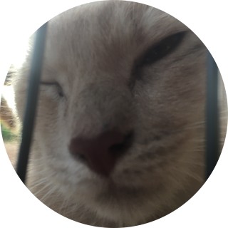 strange_balls avatar