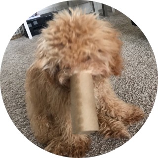 person_person avatar