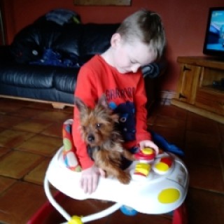 Rileythedogmaster avatar